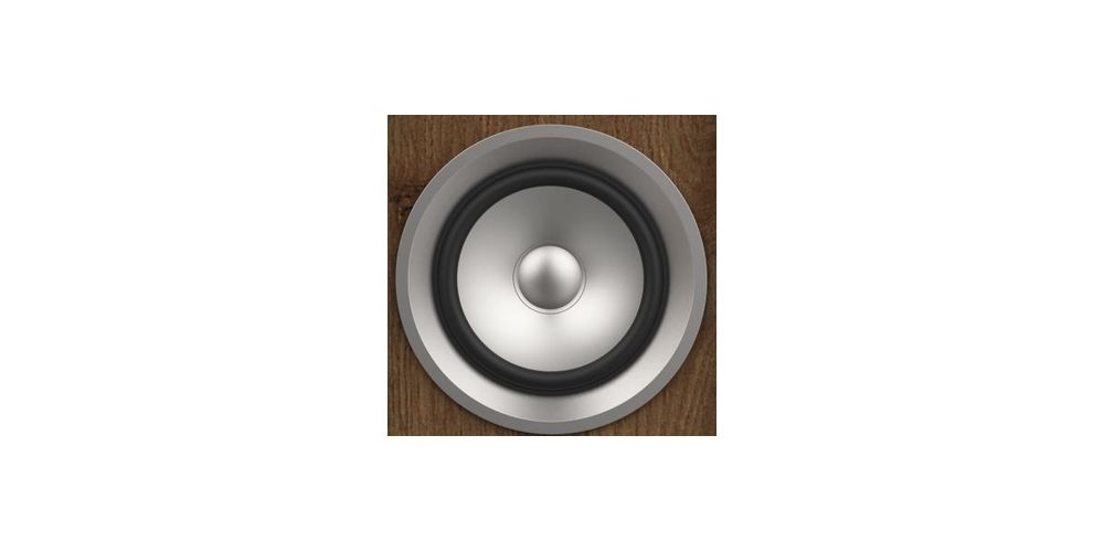 Spare Parts VINTAGE 6 woofer