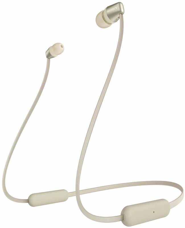 WIC310N